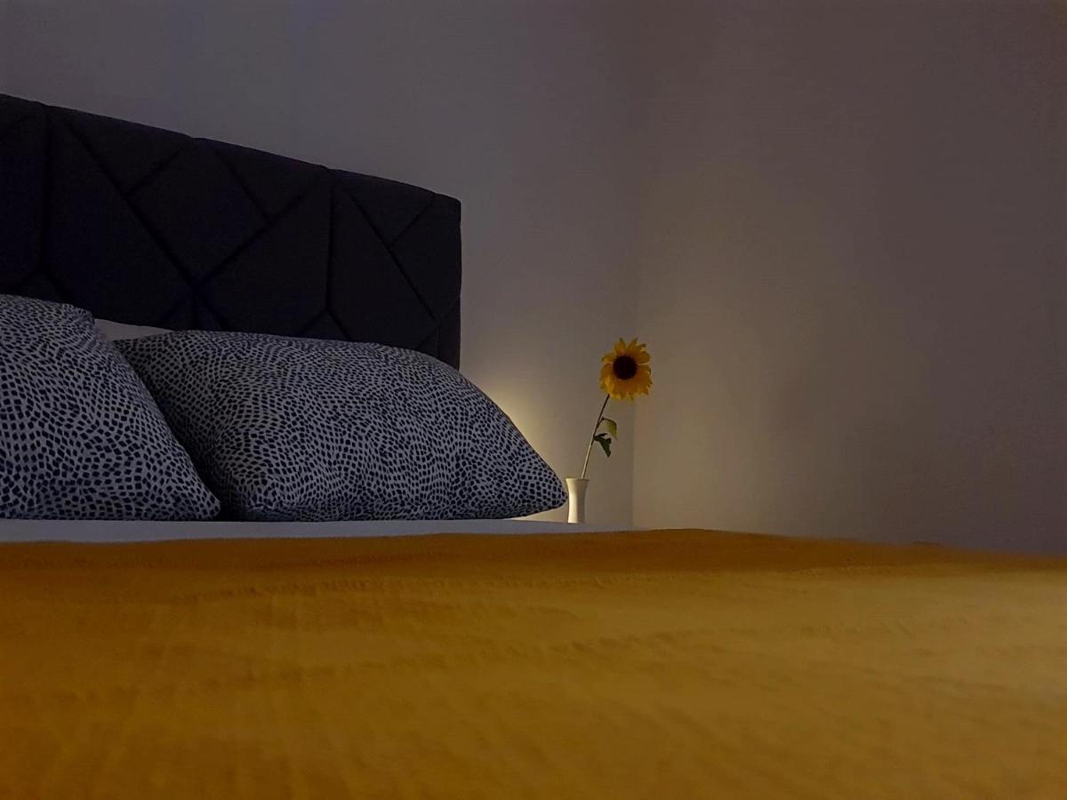 Casa Bella - Vracar Apartment Beograd Ngoại thất bức ảnh